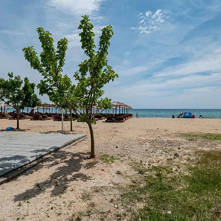 Apartament Viny *